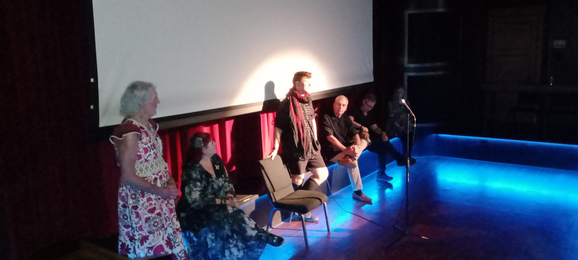 A panel of filmmakers and participants of two LGBTQ-themed documentaries hosts a lively discussion with the audience after their world premiere